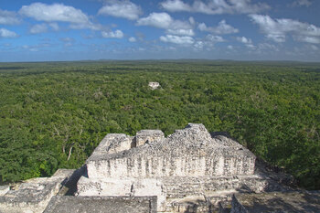 Ausblick auf die Selva Maya © GIZ