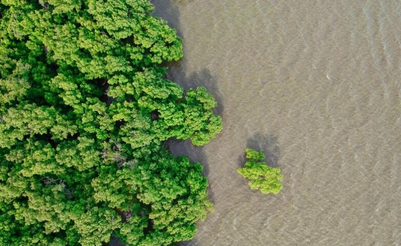Foto eines Flusseinzugsgebiets in Thailand