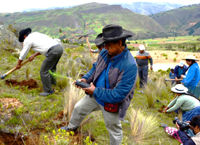 Bolivien. PROAGRO: Aufforstung gegen Erosion und zum Schutz des Wasserlaufes. Foto: GIZ