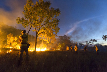 Brasilien. Kontrollierter Feuereinsatz im Nationalpark Chapada das Mesas. (Foto: Leonardo Milano/ICMBio) © GIZ