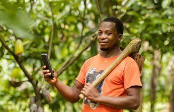 Ein Kakaoproduzent steht in einer Kakaoplantage und hält ein Handy in der Hand.  © GIZ