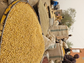 Saatgut- und Getreidemarkt in Kano, Nigeria/; Copyright: GIZ/ Fabian Pflume