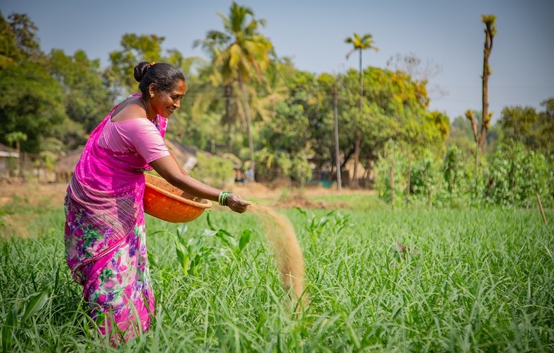 Eine Bäuerin kümmert sich um ihre Anbaupflanzen. Bildrecht: GIZ India / Harsh Kamat