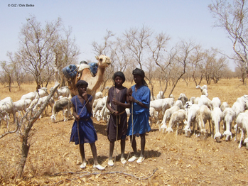 gizIMAGE-Insu-Resilience-Drought