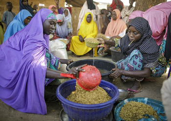 Weiterverarbeitung von Roh-Reis durch lokale Frauen-Kooperativen