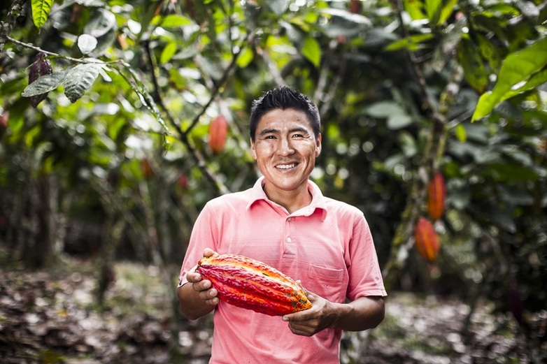 Mann hält eine Kakaofrucht/ Projekt: SAFE (Sustainable Agriculture for Forest Ecosystems). Foto: GIZ/ stock