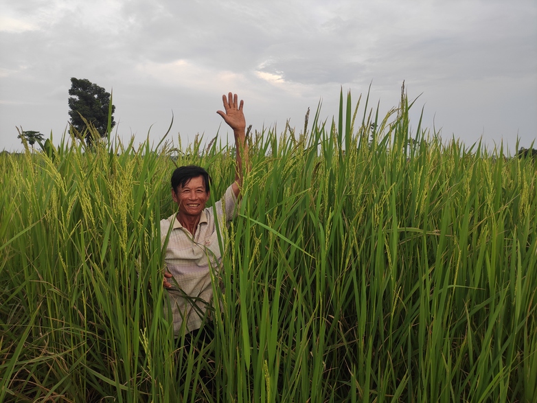Bauer steht zwischen seinen Reispflanzen und winkt. © GIZ/Phen Chhunhak