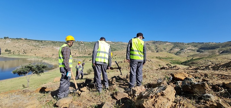 Cash Worker bei Aufforstungsarbeiten im Einzugsgebiet des King Talal-Damms. Copyright: GIZ