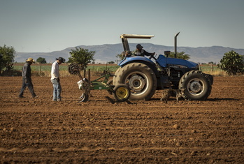 Bewässerungstechnik in Calera, Zacatecas 