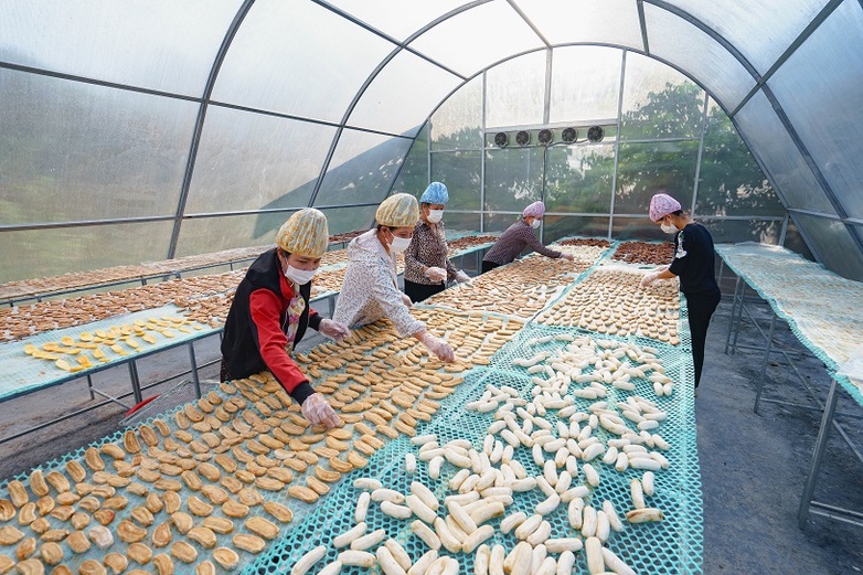 Frauen sind damit beschäftigt, Früchte zu trocknen. Bild: GIZ/Vu Chau Ngoc.