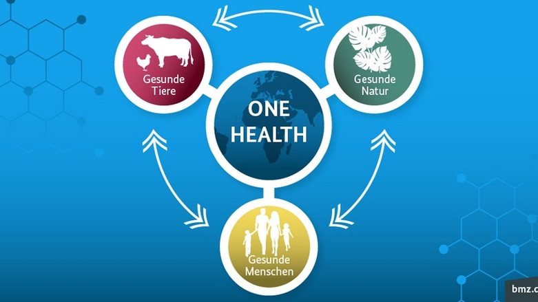 Grafik zu One Health: Gesunde Tiere, gesunde Natur, gesunde Menschen ©BMZ