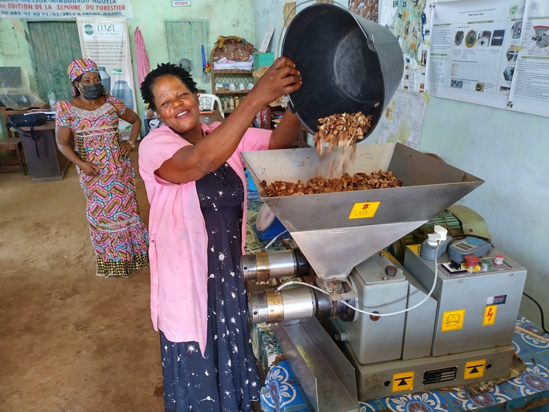 Eine Frau schüttet Nüsse in eine Maschine zur Verarbeitung von Nichtholzwaldprodukten. Copyright: GIZ / Uli Caspary