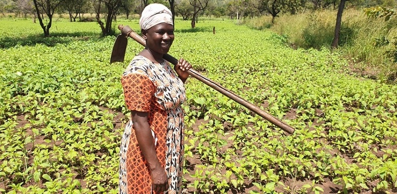 A woman with a hoe is standing in a field.