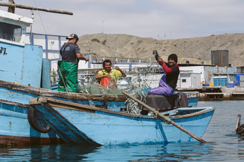 Handwerkliche Fischer arbeiten auf einem Schiff in der Bucht von Paita, Peru. © GIZ / Nicolás Landa