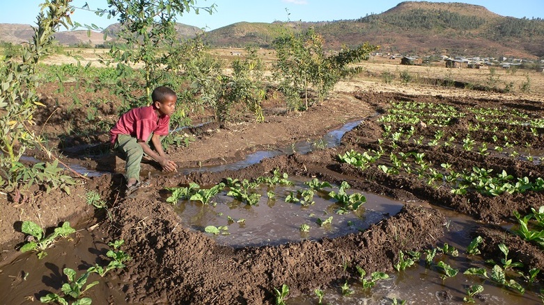 Ein kleinangelegtes Bewässerungssystem im äthiopischen Hochland. Copyright: GIZ.
