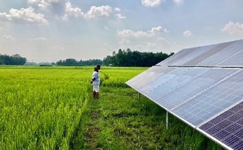 Eine Landwirtin vor Solarpanelen auf einem Feld.