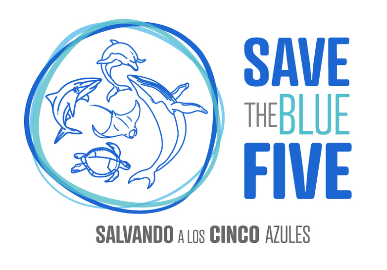 Logo von „Save the Blue Five“ mit einem Wal, einem Delfin, einem Hai, einer Meeresschildkröte und einem Mantarochen in einem Kreis. 