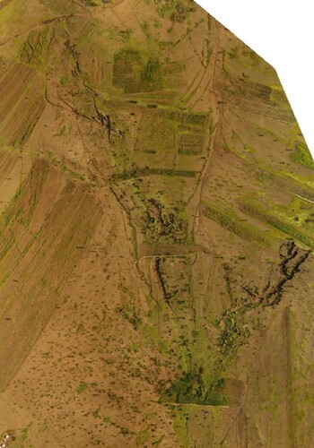 Blick aus der Vogelperspektive auf zwei neu gebaute Wasserverteilungswehre im Trockental von Amadle, Region Somali. Die Wehre haben die ersten Überschwemmungen aufgenommen und zeigen erste Auswirkungen der Rückhaltung von Wasser und Bodensedimenten, um das Wachstum des Gullys zu verringern (Quelle: Dr. Hans-Peter Thamm; Standort: Amadle, Somali Region, Äthiopien).