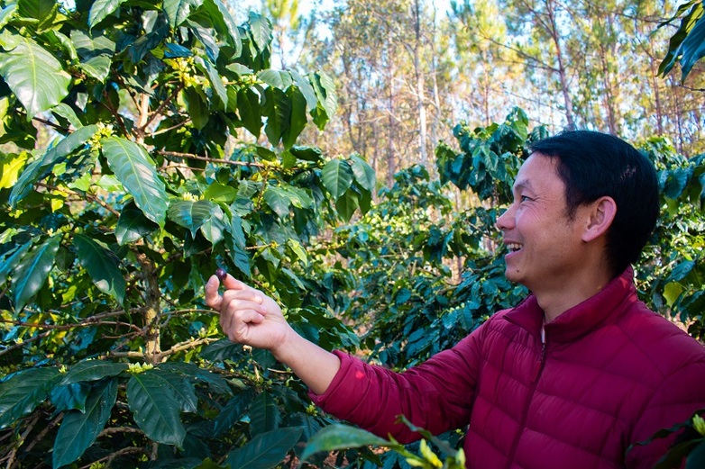 Kaffeebauer bei der Begehung seiner Plantage (Foto: GIZ)