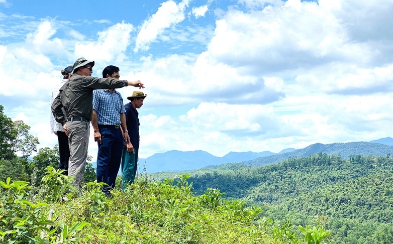 GIZ SFM Project und Mitglieder des Dong Xuan Protection Forest Management Board bei der Besichtigung einer gemischten Plantage mit regionalen Arten in der Provinz Phu Yen. ©GIZ/Le Thien Duc