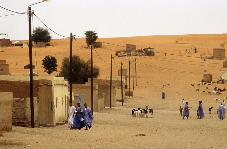 Menschen und Tiere in einem Dorf in der Sahelzone. Foto: GIZ