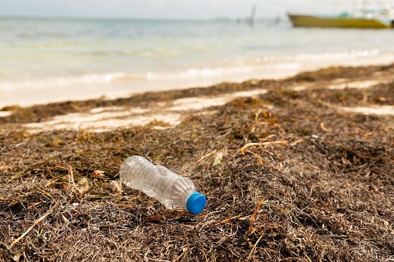 Die Plastikverschmutzung gefährdet marine Küsten- und Ökosysteme entlang der Pazifikkueste 