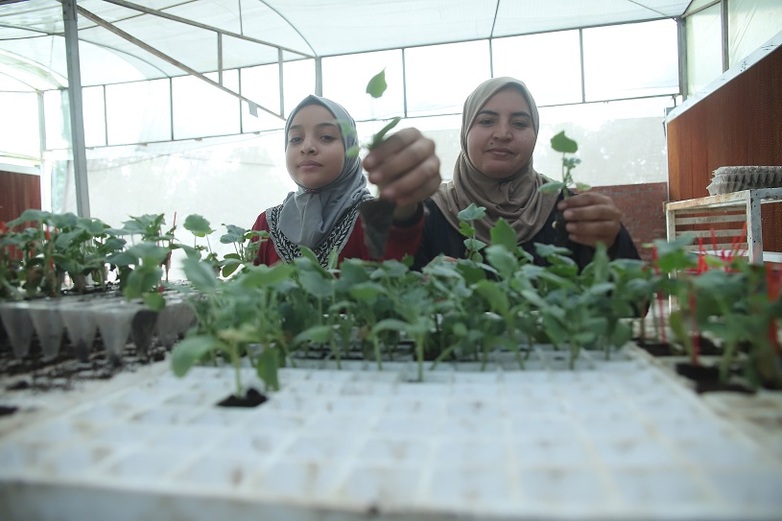 Zwei Frauen pflanzen in der Sekem-Farm in Ägypten Pflanzen um (c) GIZ / Emad Abdelrahman
