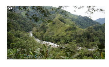 Naturschutzgebiet Chiribiquete in der kolumbianischen Amazonasregion