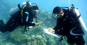 Jordanien. Meeresschutz am Korallenriff. Taucher sammeln wichtige Informationen am Golf von Aqaba. © GIZ