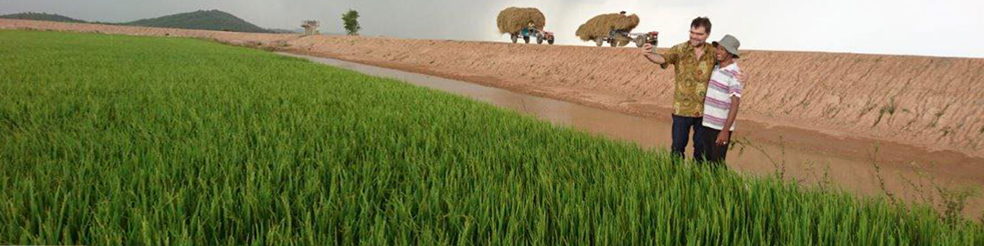 Zwei Agrarforscher auf einem Feld mit verbesserten und klimaangepassten Reissorten in Laos. 