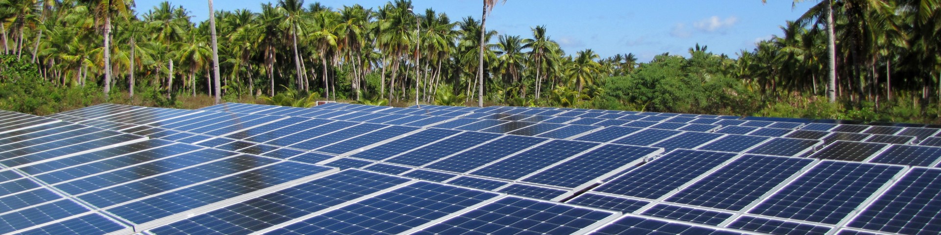 Mehrere Reihen Solarkollektoren im Globalen Süden mit Palmen im Hintergrund.