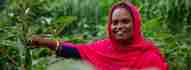Eine Unternehmerin steht zwischen Pflanzen auf einem Feld im ländlichen Bangladesch.