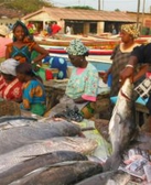 Fischmarkt Soumedioune, Dakar. © GIZ, Dr. Michael Siebert.