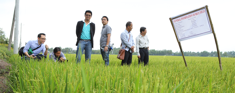 Teilnehmer der Climate Relience Network Veranstaltung „Effektive Politiken zur Promotion landwirtschaftlicher Klima Versiche-rungen, um die Resilienz in ASEAN zu erhöhen“ besuchten im August 2016 eine Reisfarm in Vietnam, wo sie Reisbauern treffen und bef