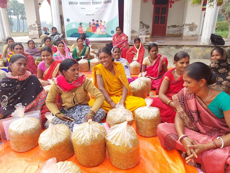 Der Anbau von Kulturpilzen als alternative Einkommensquelle für landlose Haushalte in Gaya in Bihar. GIZ/ERADA (2022)