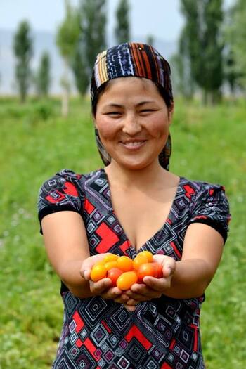Eine Produzentin von Tomaten in Dshalal-Abad. Sie profitiert von der Wertschöpfungskette der Tomatenproduktion - angefangen vom Bauern über Verarbeitung und Absatz, da sie ihre Produkte zu fairen Preisen verkaufen kann. Foto: GIZ