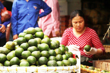 ASEAN. Früchtemarkt. © GIZ