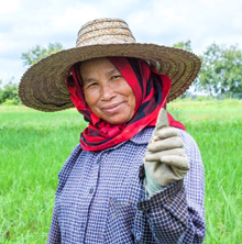 ASEAN. Landwirtin im Reisfeld. © GIZ