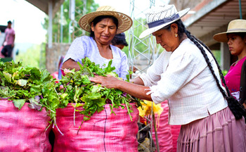 Bolivien. Das Vorhaben PROAGRO hat die sozioökonomische Wertsteigerung von Gemüseproduktion zum Ziel. Frauen auf dem Markt in Capinota, Cochabamba. © GIZ