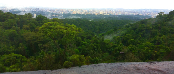 Aussicht auf São Paulo vom Pedra Grande im Parque Estadual da Cantareira. © GIZ / Jens Brüggemann