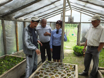 Kirgisistan, Yssykköl-Region Auf einer Studienfahrt besuchen Förster aus Tadschikistan und Usbekistan das Forstunternehmen Balykchy und diskutieren über Besonderheiten beim Beschneiden der Pflanzen © GIZ