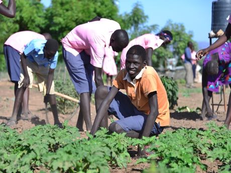 Kenia: In Kakuma und Umgebung werden Gemüsegärten neu angelegt und bewässert. 