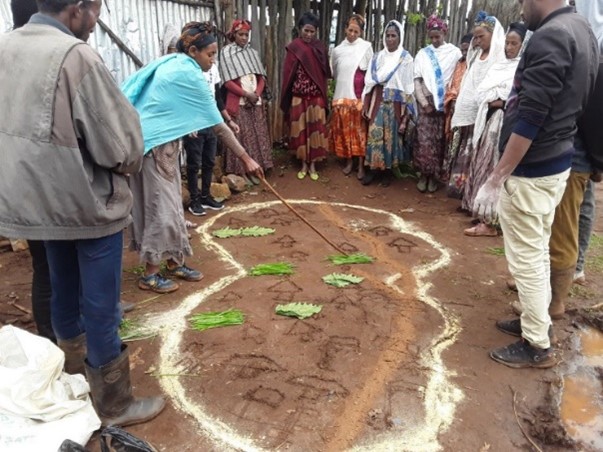 Junge IT-Expert*innen interviewen eine Avocado-Bäuerin auf ihrer Plantage in Modjo in der Region Oromia. Copyright: GIZ / Britta Petersen