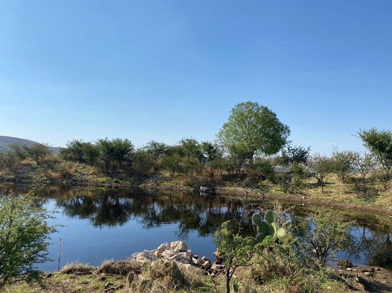 Die sandige Landschaft San Miguelito mit Kakteen im Vordergrund und einem Gewässer sowie Bäumen und Büschen im Hintergrund. Copyright: GIZ Mexiko / Carla Rostasy