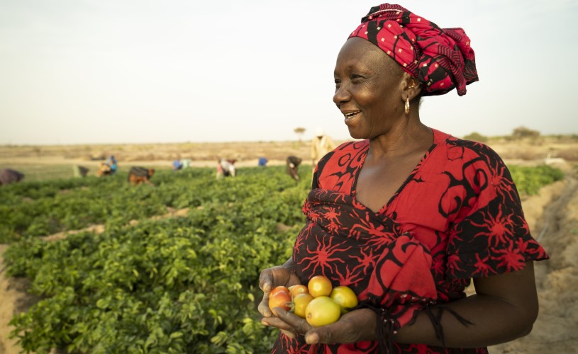 Eine Frau steht vor einem Feld und hält Tomaten in der Hand. 