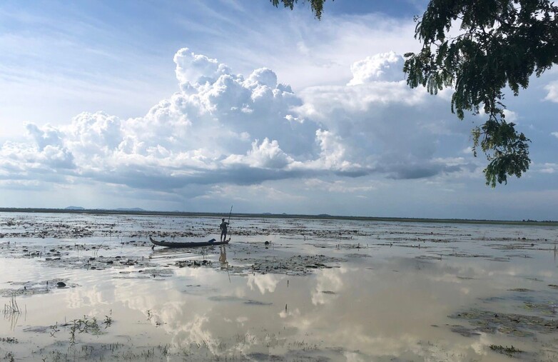 Ein Sumpf im Königreich Kambodscha. © GIZ/ Transboundary Water Cooperation in the Lower Mekong Basin