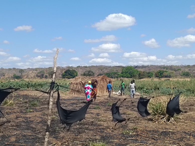 Anbaufeld mit Chili-Zaun: Ein Zaun mit in Chili-Paste getränkten Stofffetzen schützt ein Anbaufeld in der Ruvuma-Landschaft. Copyright: GIZ / Jens Brüggemann