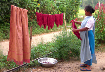 Indien. Seidenarbeiterin aus Meghalaya trocknet natürlich gefärbte Eri-Seidenfasern © GIZ