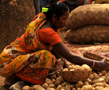 Indien. Landwirtin verkauft Kartoffeln auf einem lokalen Markt  © GIZ