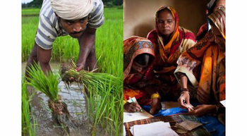 Indien. Zielgruppen des Vorhabens sind Kleinbauern, Frauen und ärmere Haushalte © GIZ